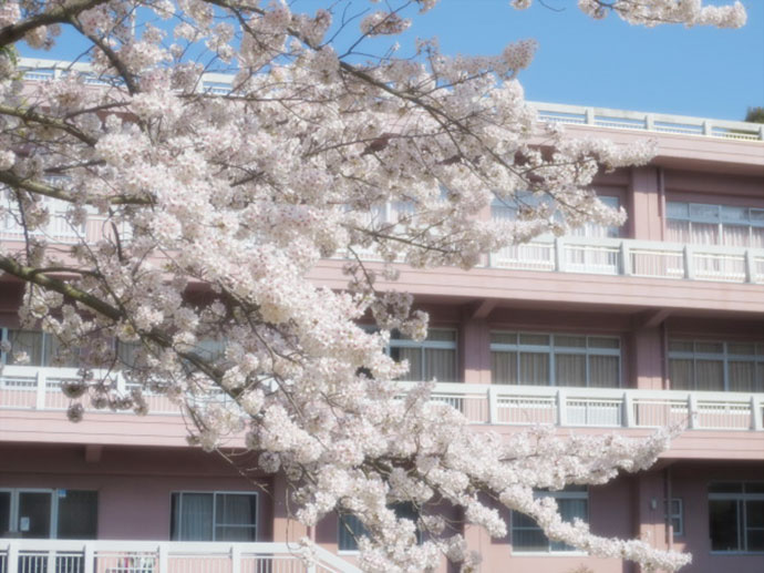 沿革