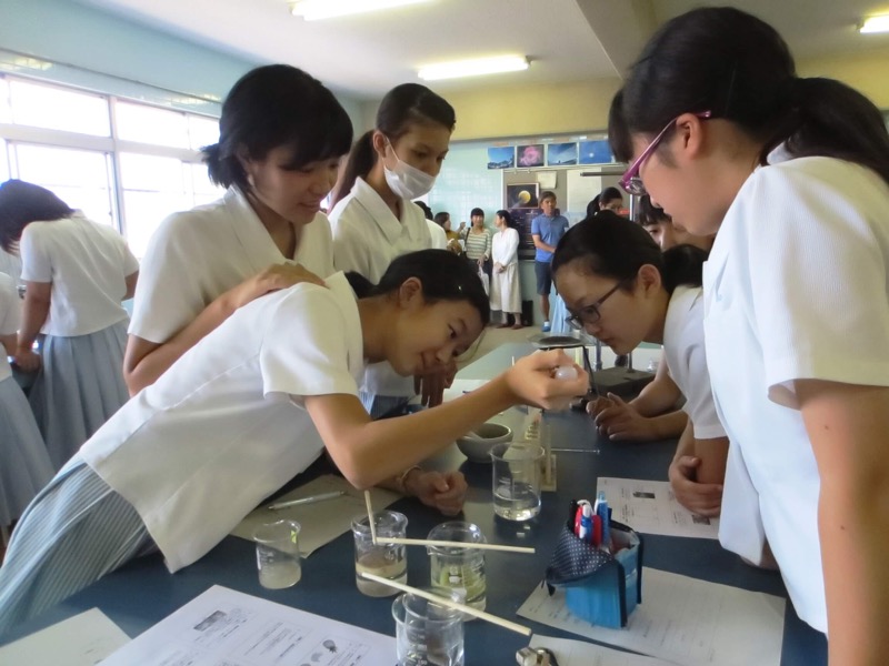 長崎精道中学校 数学・理科授業風景