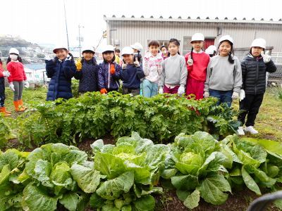 「元気野菜」収穫とクッキング2017