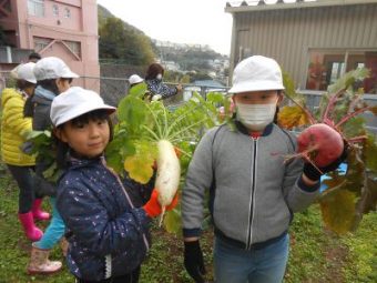 「元気野菜」収穫とクッキング2017