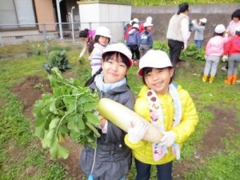 「元気野菜」収穫とクッキング2017