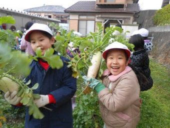 「元気野菜」収穫とクッキング2017