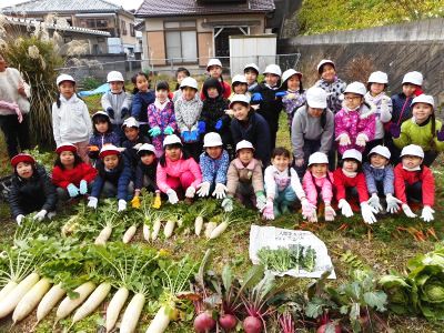 「元気野菜」収穫とクッキング2017