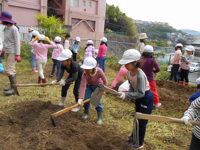 元気野菜作り 草ぬき&耕し 小2・3年