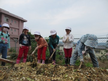 元気野菜2017 生ごみ投入