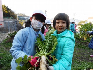 元気野菜収穫・クッキング