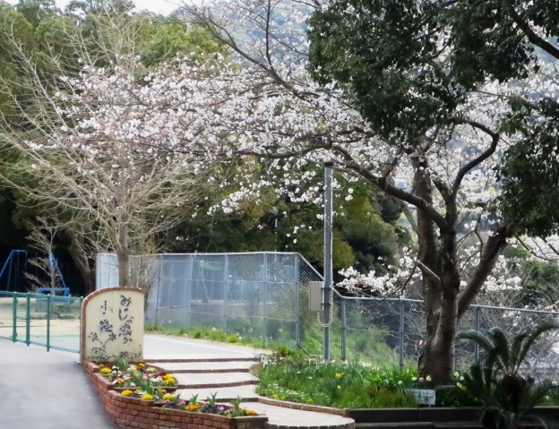 平成29年度　修了式　　～みじょ娘の小経に咲いた桜の花