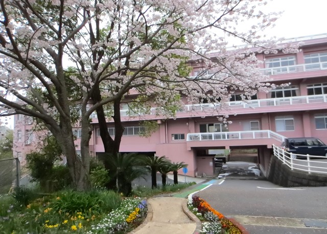 「精道さるく」学校散策ツアー 令和2年度 年間スケジュール