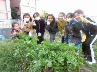 元気野菜づくり2018