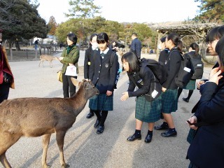 中学校　修学旅行2019