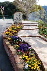 校庭の春色の花々2019