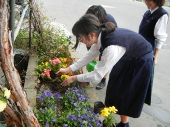 校庭の春色の花々2019