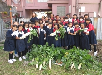 大きな「元気野菜」を収穫! ~小学2・3年生