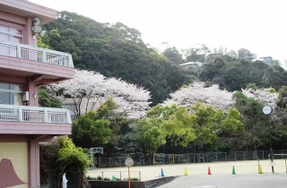 桜の花とともに迎えた修了式 ~感謝の心にあふれて