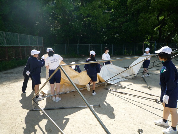 ファミリースポーツデイテント張り