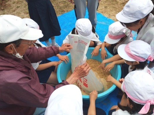元気野菜2024 ぼかし作り