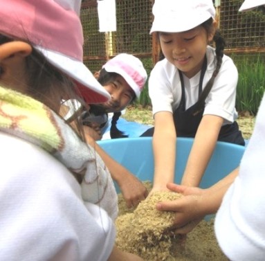 元気野菜2024 ぼかし作り