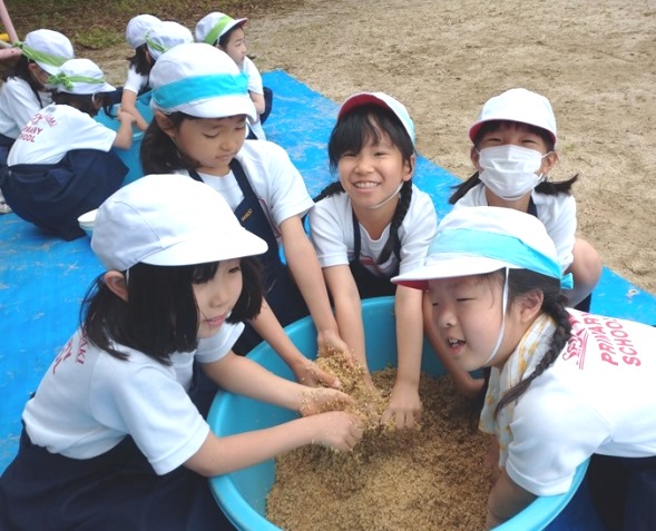 元気野菜2024 ぼかし作り