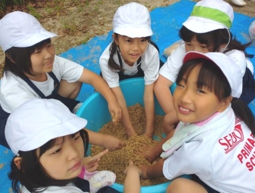 元気野菜2024 ぼかし作り