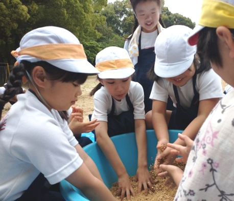 元気野菜2024 ぼかし作り