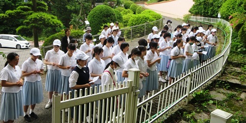 ロザリオ巡礼2024