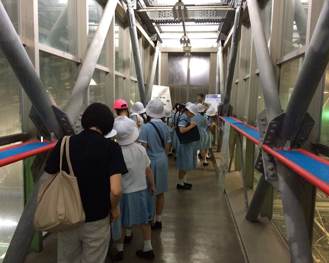 水産試験場見学