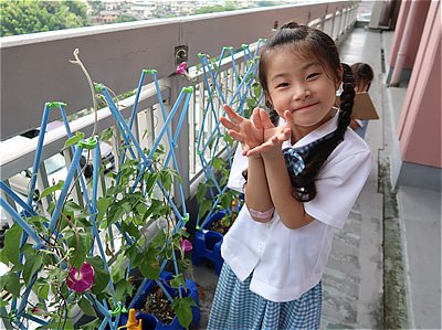 アサガオの花がさいたよ！～小１