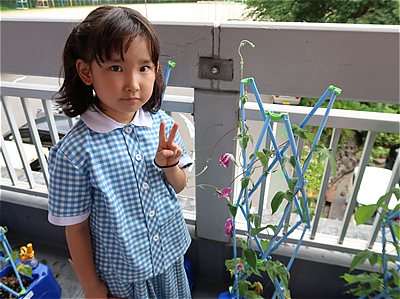 アサガオの花がさいたよ！～小１