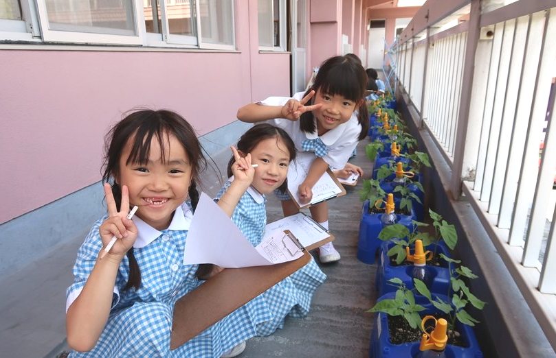 アサガオおおきくなったよ！～小１