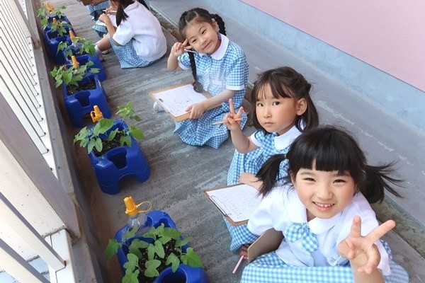 アサガオおおきくなったよ！～小１