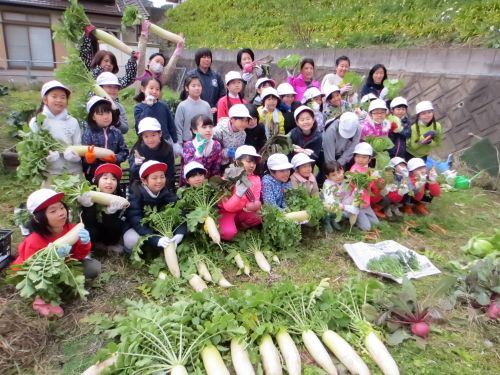 「元気野菜」収穫とクッキング2017