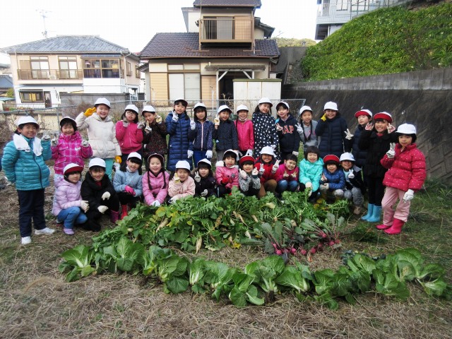 元気野菜収穫・クッキング