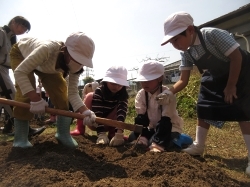 元気野菜づくり2019