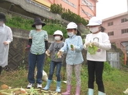 元気野菜づくり2019