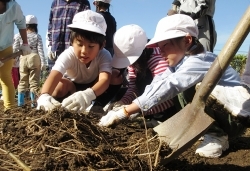 元気野菜づくり2019