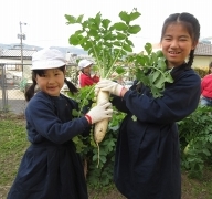 元気野菜づくり2019