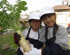 元気野菜づくり2019