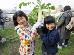 元気野菜づくり2020 収穫と調理