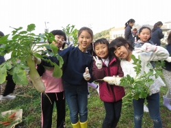 元気野菜づくり2020 収穫と調理