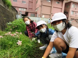 元気野菜づくり2020