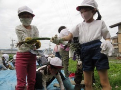 元気野菜づくり2020