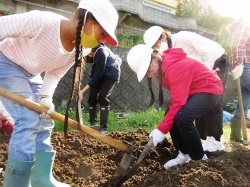 元気野菜づくり2020