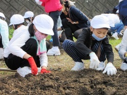 元気野菜づくり2020