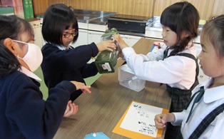 小１お茶教室2020