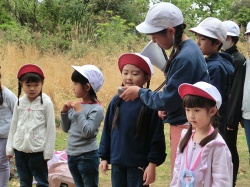 小学校 春の歓迎遠足2021