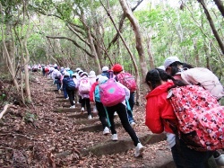 小学校 春の歓迎遠足2021