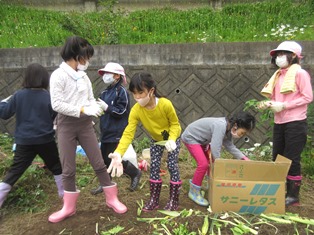 元気野菜づくり2021-5