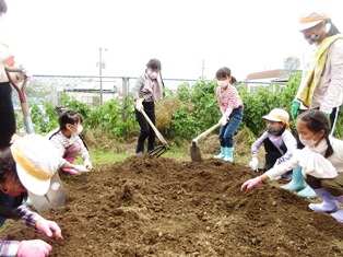 元気野菜づくり2021-5