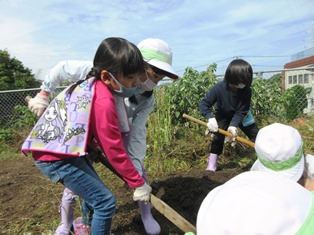 元気野菜づくり2021-5