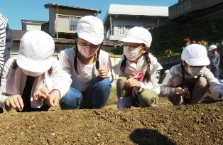 元気野菜づくり2021